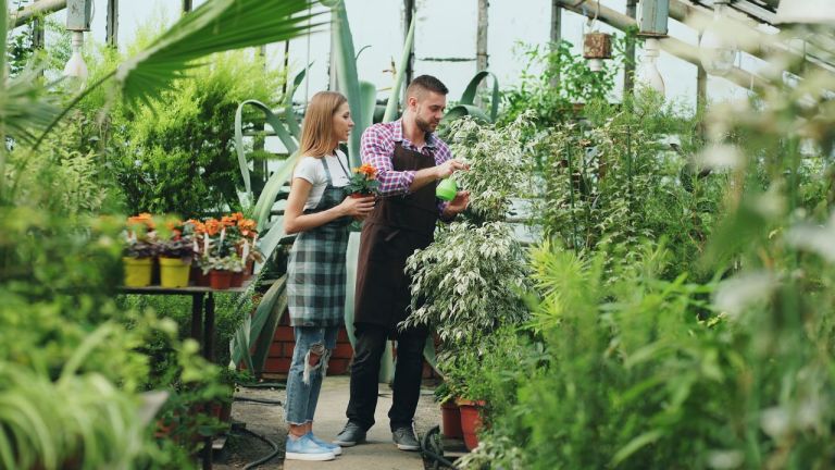 Gardening Without the Ache